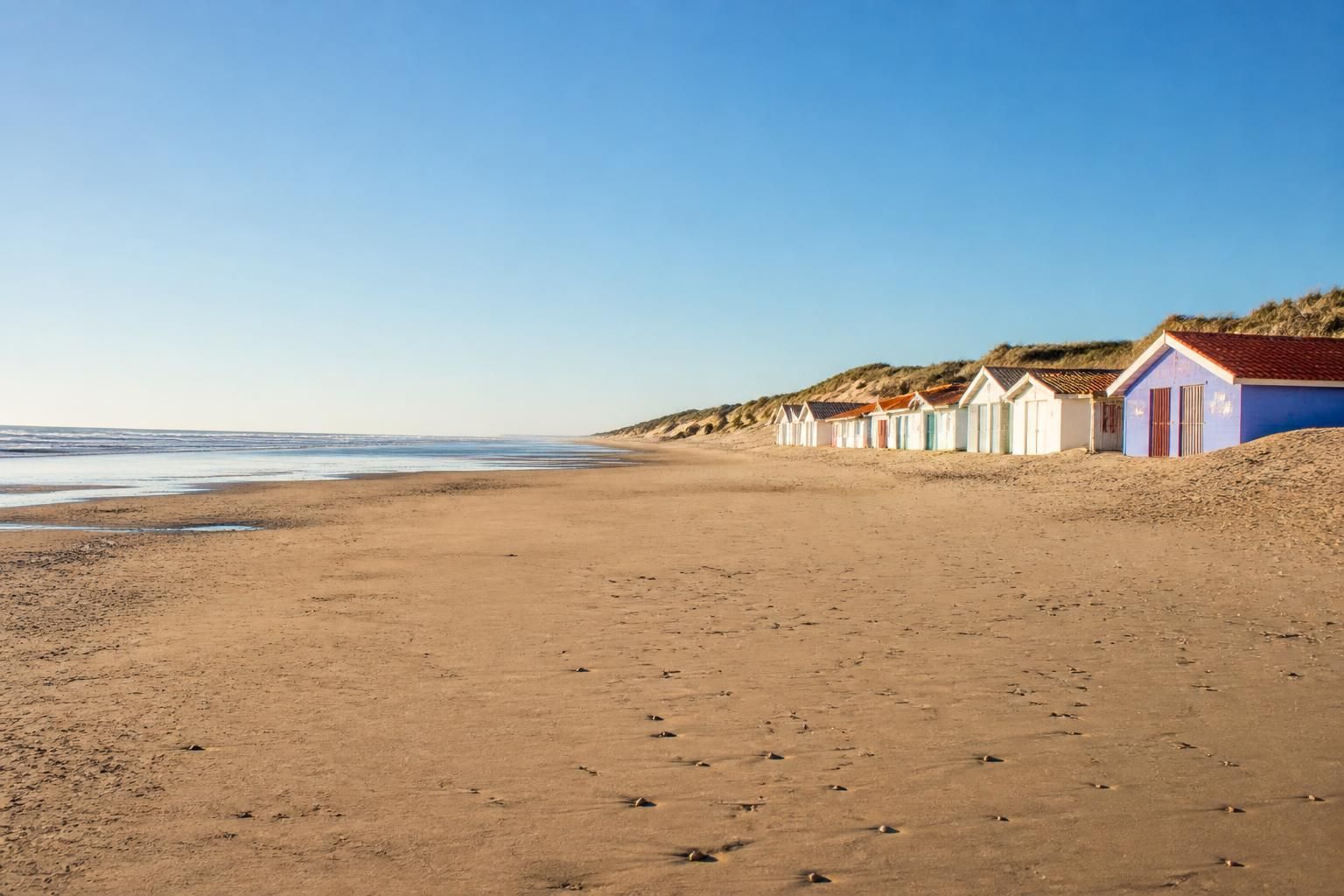 découvrez les webcams en direct des landes et profitez d'une vue immersive sur les plages atlantiques, idéal pour planifier votre visite ou admirer les paysages côtiers en temps réel.