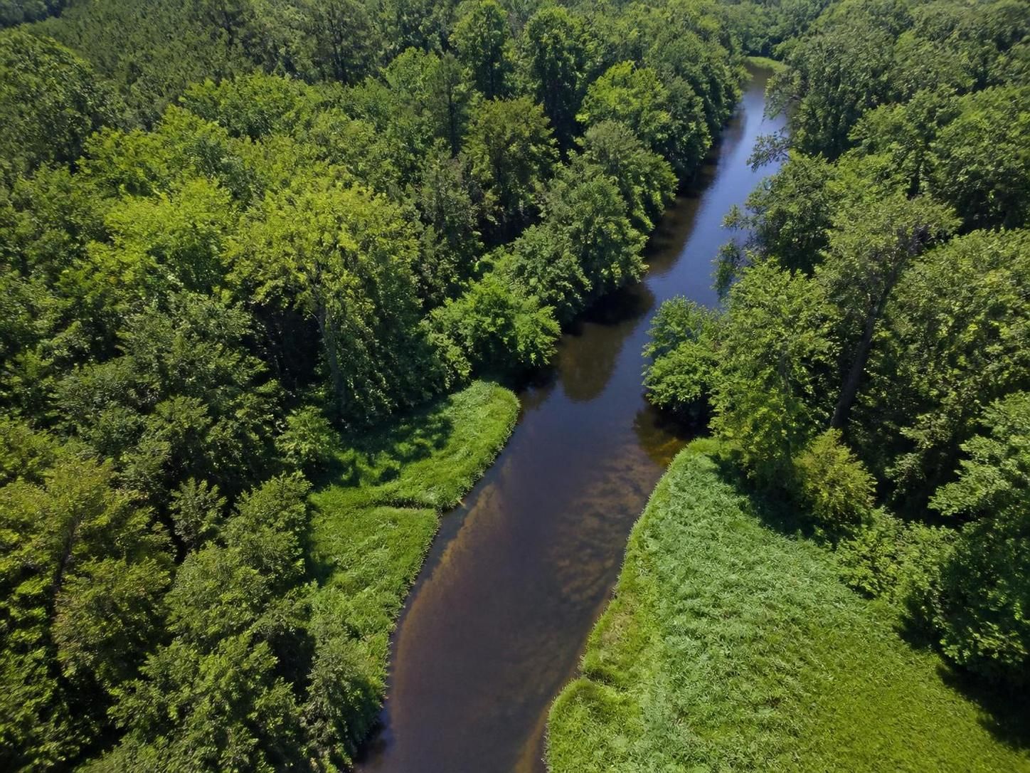 explorez la « petite amazonie landaise » et vivez une aventure inoubliable le long du courant d’huchet, entre nature préservée et paysages enchanteurs.