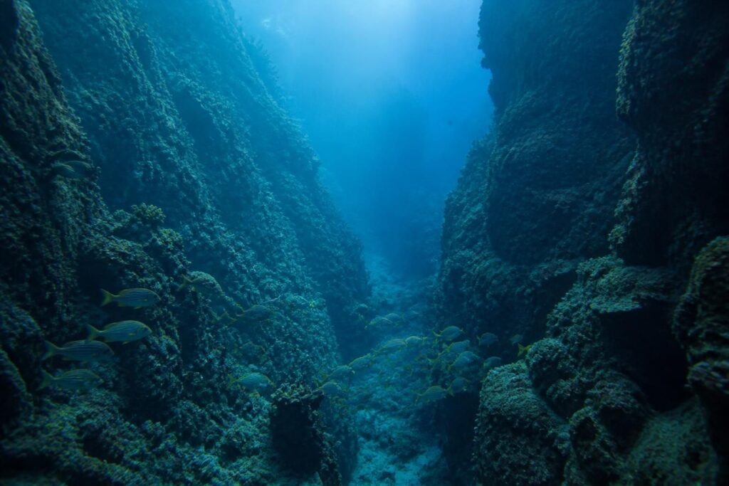 découvrez le canyon sous-marin de 4 500 mètres caché sous les flots à capbreton, un trésor naturel fascinant et méconnu à explorer.