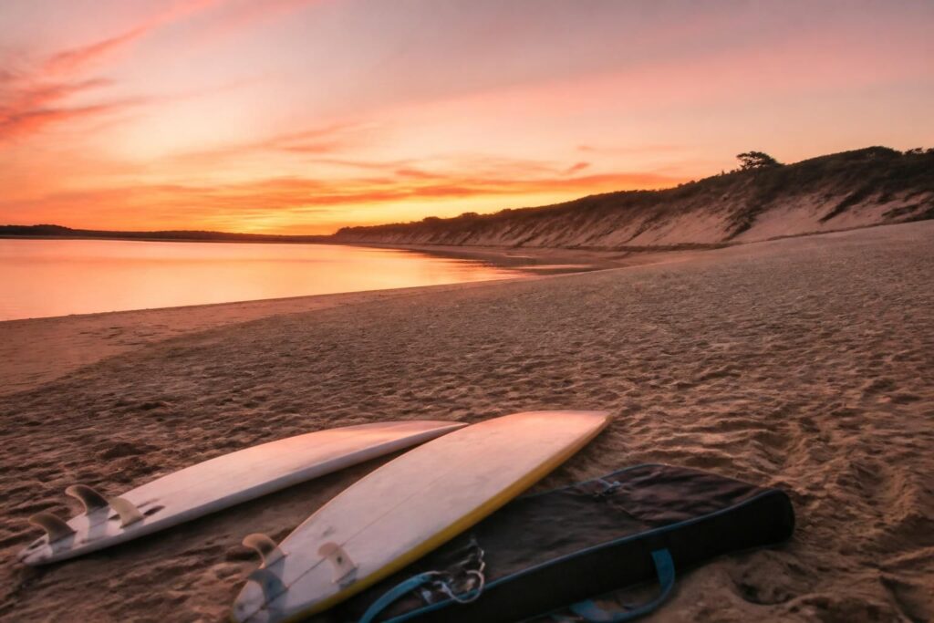 découvrez tya zebrowski, l'étoile montante du surf, qui impressionne par son talent et sa maîtrise des vagues. suivez son parcours inspirant et ses exploits sur les plus belles plages.