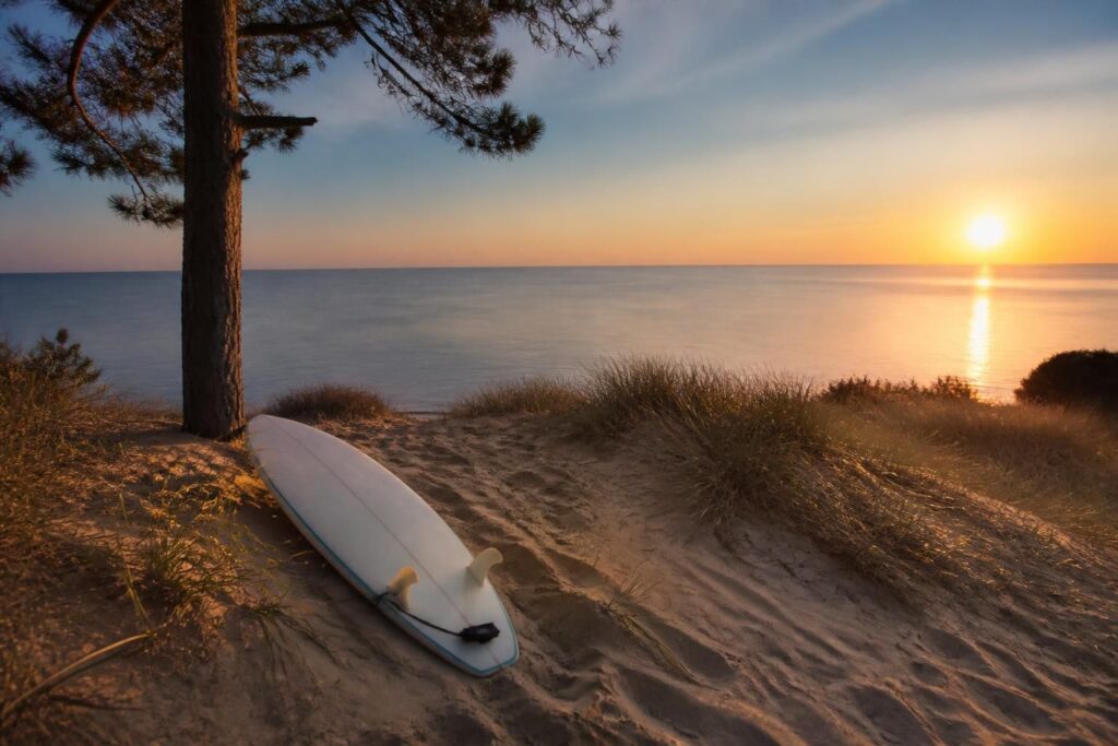 découvrez tya zebrowski, l'étoile montante du surf, qui captive par son talent exceptionnel et sa maîtrise impressionnante des vagues.