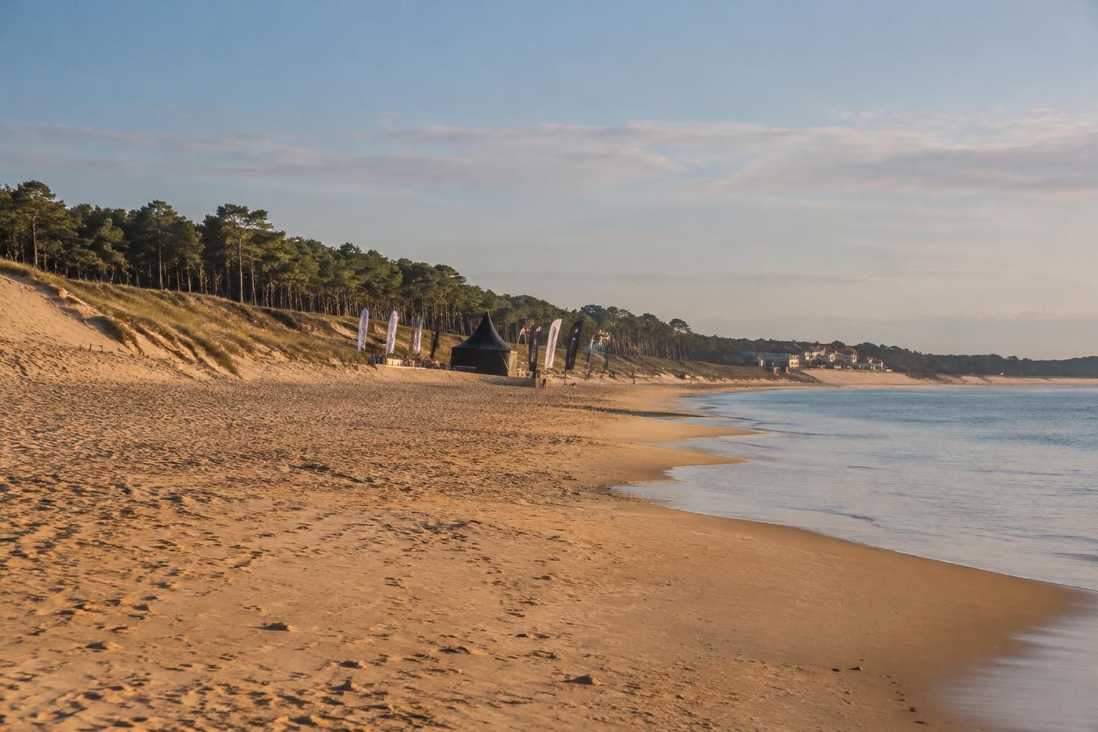 le minou surf club de plouzané s’illustre aux championnats de france à hossegor. découvrez les performances des surfeurs du club.